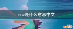 cuz是什么意思中文