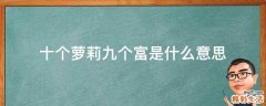 十个萝莉九个富是什么意思