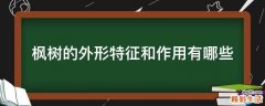枫树的外形特征和作用有哪些