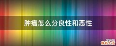肿瘤怎么分良性和恶性