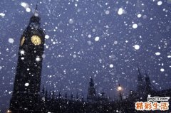 泥鳅的功效与作用_泥鳅的药用价值