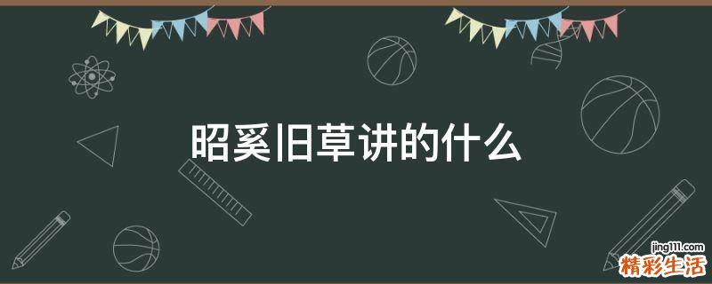 昭奚旧草讲的什么