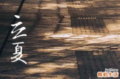 多插立夏秧谷子收满仓指哪种作物 谚语多插立夏秧谷子收满仓是什么意思