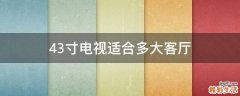 43寸电视适合多大客厅
