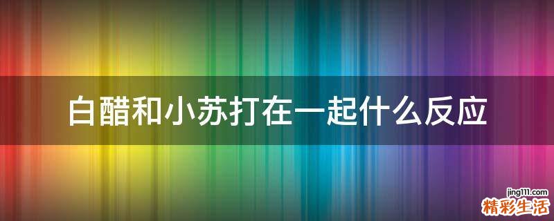 白醋和小苏打在一起什么反应