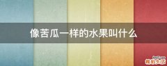 像苦瓜一样的水果叫什么