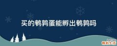 买的鹌鹑蛋能孵出鹌鹑吗