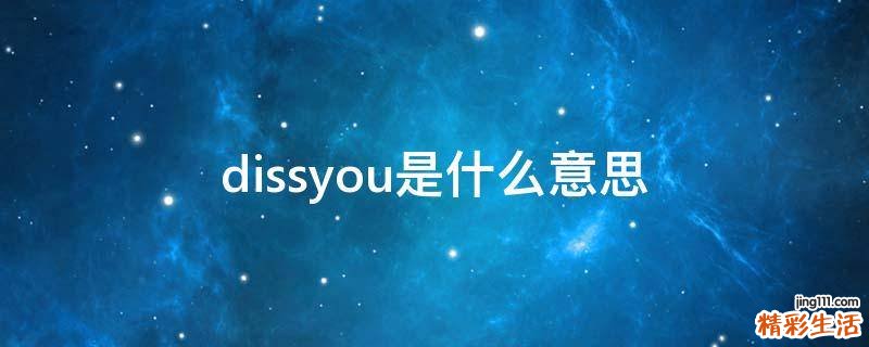 dissyou是什么意思