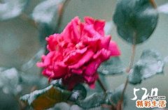 5月20日13点14分发的说说 5月20日13点14分情话