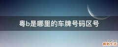 粤b是哪里的车牌号码区号