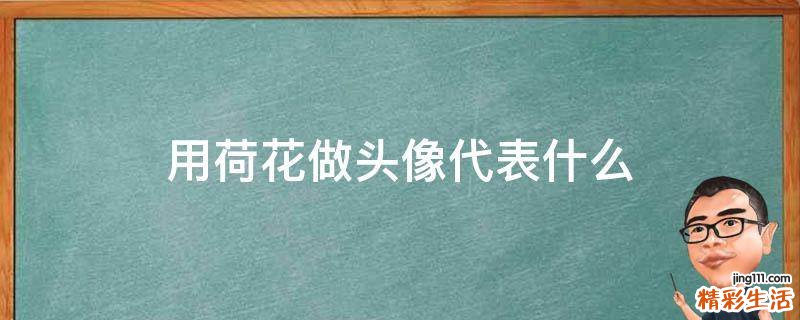用荷花做头像代表什么