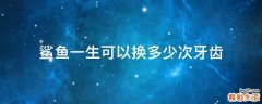 鲨鱼一生可以换多少次牙齿