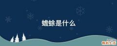 蟾蜍是什么