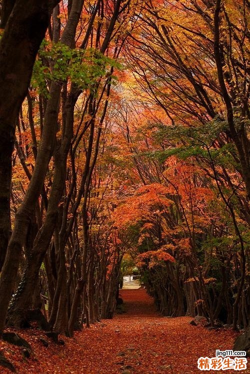 2 警惕:女性白领的三大健康死穴