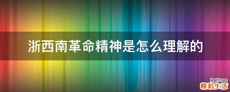 浙西南革命精神是怎么理解的