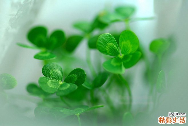 小儿手足口病的症状