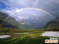 春季养生瘦身食谱