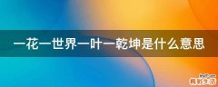 一花一世界一叶一乾坤是什么意思
