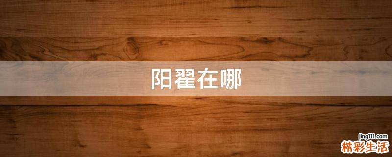 阳翟在哪