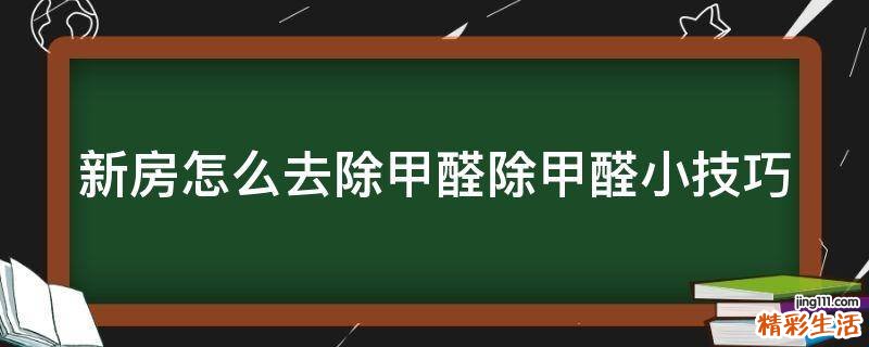 新房怎么去除甲醛除甲醛小技巧