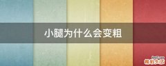 小腿为什么会变粗