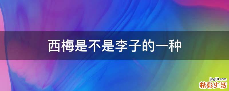 西梅是不是李子的一种