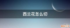 西兰花怎么切