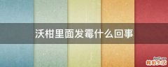 沃柑里面发霉什么回事