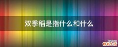 双季稻是指什么和什么