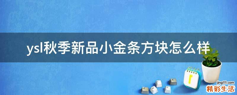 ysl秋季新品小金条方块怎么样