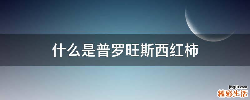 什么是普罗旺斯西红柿