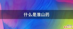 什么是淮山药