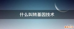 什么叫转基因技术