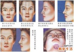 鼻当家李爱林：想做出漂亮的鼻子，首先得了解什么样的鼻子才是美的