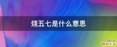 烧五七是什么意思