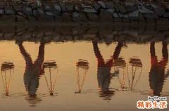 2023年5月6日上班吗 5月6日立夏日是补哪一天周几的班或课