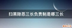 扫黑除恶三长负责制是哪三长