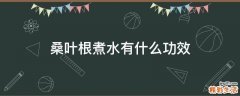 桑叶根煮水有什么功效