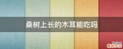 桑树上长的木耳能吃吗
