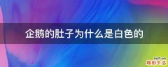 企鹅的肚子为什么是白色的
