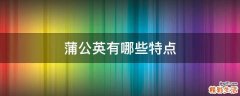 蒲公英有哪些特点