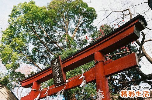 脂肪肝应检查什么