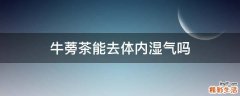 牛蒡茶能去体内湿气吗