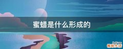 蜜蜡是什么形成的