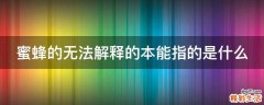 蜜蜂的无法解释的本能指的是什么