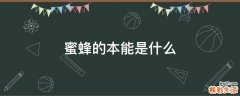 蜜蜂的本能是什么