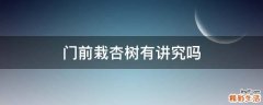 门前栽杏树有讲究吗