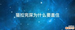 猫拉完屎为什么要盖住