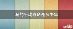 马的平均寿命是多少年