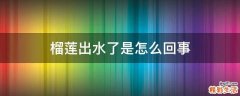 榴莲出水了是怎么回事
